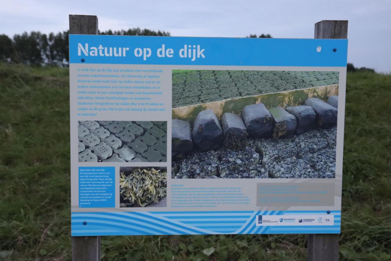 Strandhut 64 Sint Annaland Eksteriør billede